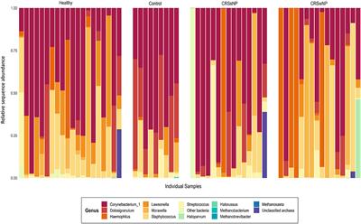 A Novel Description of the Human Sinus Archaeome During Health and Chronic Rhinosinusitis